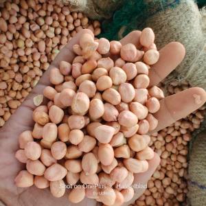icon Seeds & Nuts
